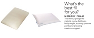 Carpenter Co. Isocool Memory Foam Standard Traditional Pillow